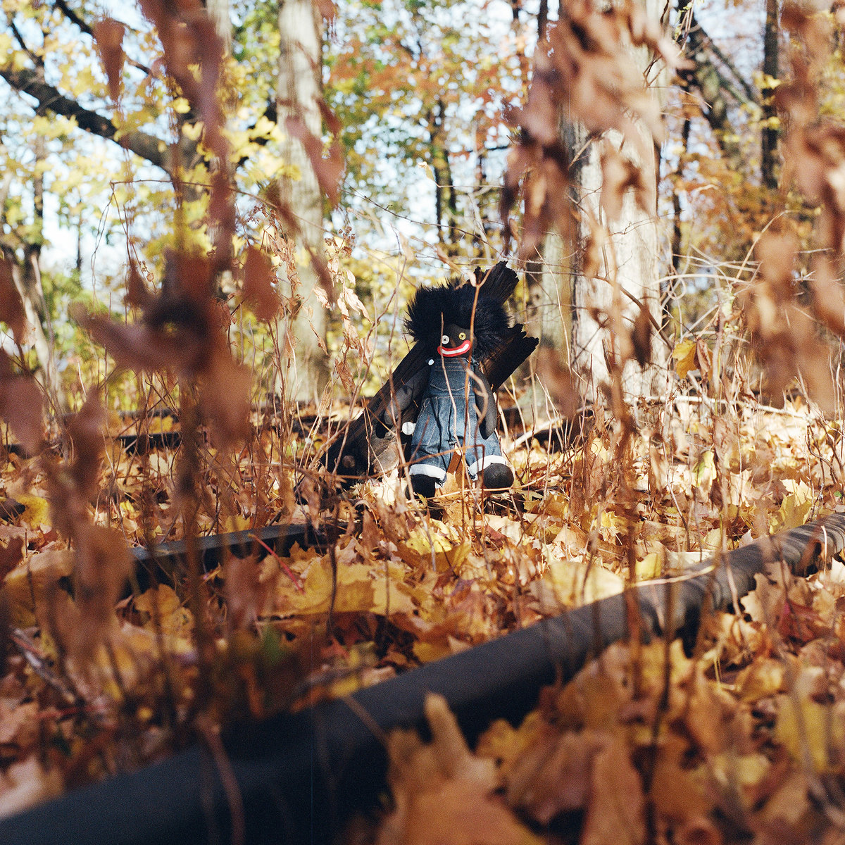 Why You Should Spin: GOLLIWOG by billy woods