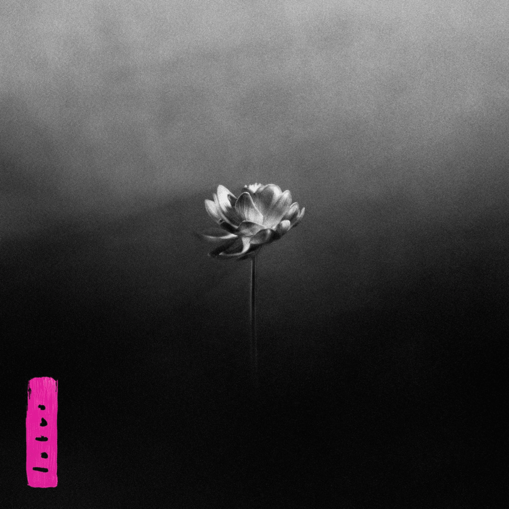 Why You Should Spin: Lotus by Little&nbsp;Simz