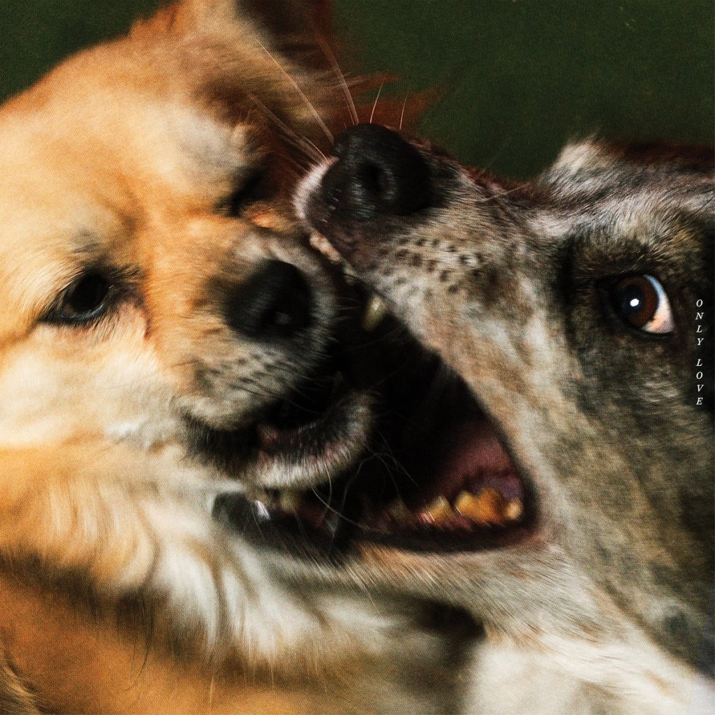 Why You Should Spin: Only Love by&nbsp;Peach